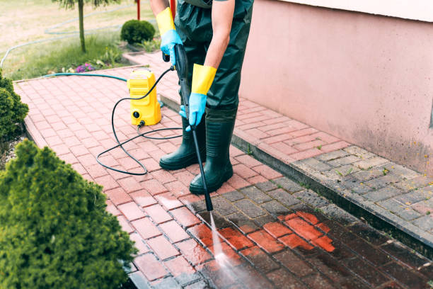 Best Sidewalk and Walkway Cleaning  in Norton, VA